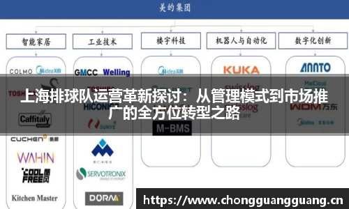 上海排球队运营革新探讨：从管理模式到市场推广的全方位转型之路